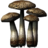 SR-icon-ingredient-Namira's Rot.png